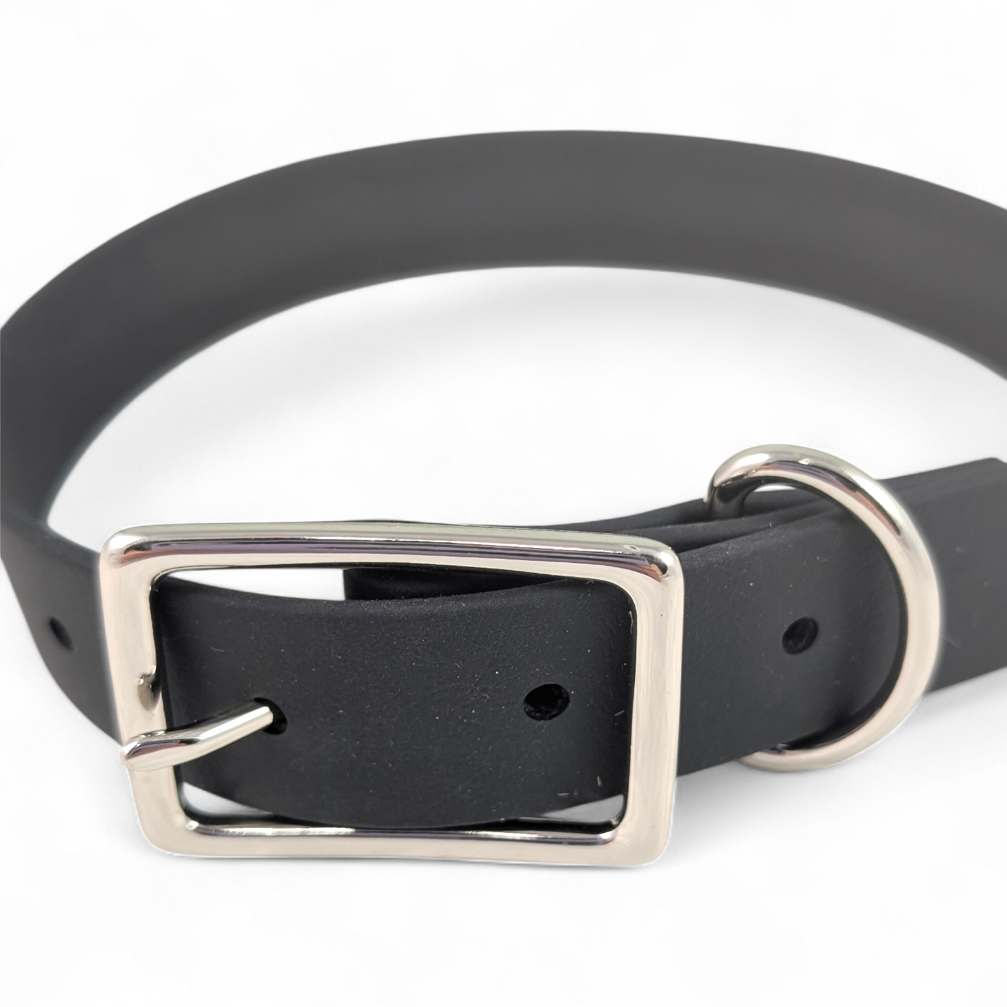 Classic Collar – Raven