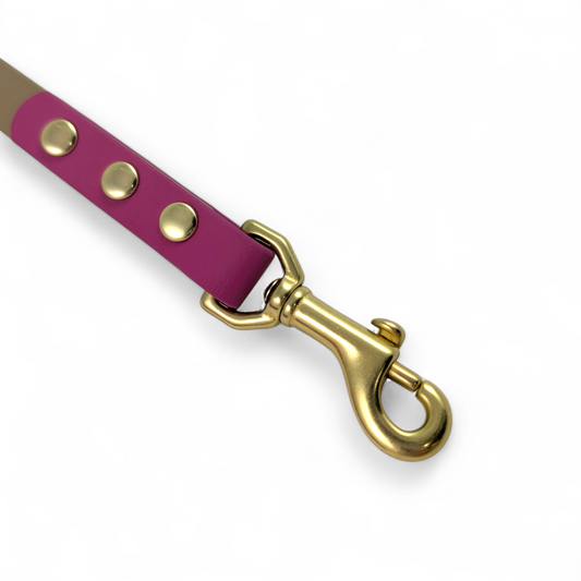 Two-Tone Leash – Sand & Wildrose