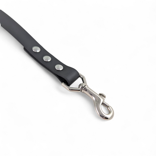 Accent Handle Leash – Raven & Cedar