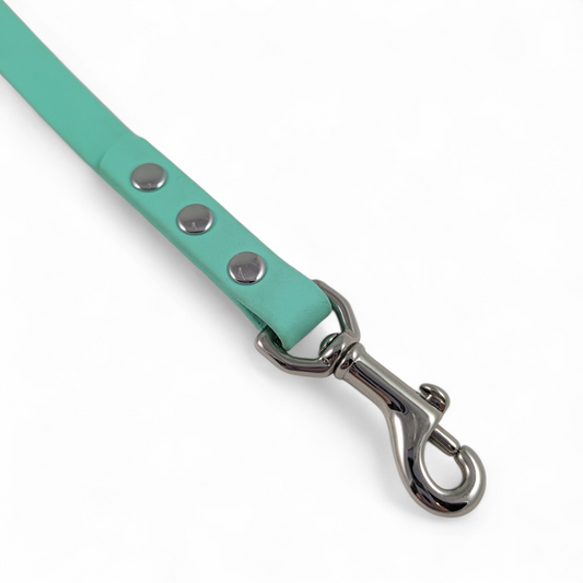 Solid Colour Leash – Sea Foam