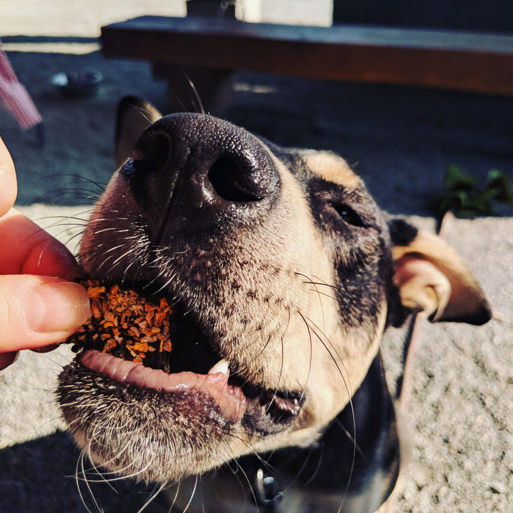 Limited Batch Treats