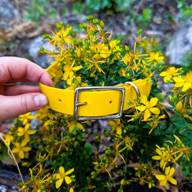 Biothane Gear – For Wild Hearts and Muddy Paws