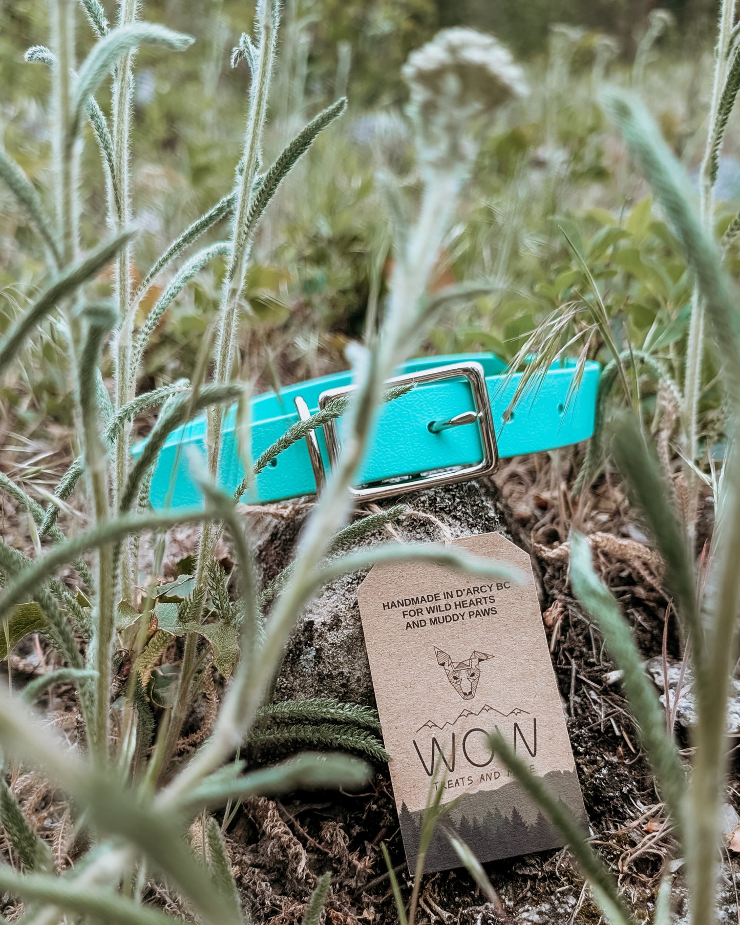 The Trail Collar - Custom Solid Biothane® Dog Collar