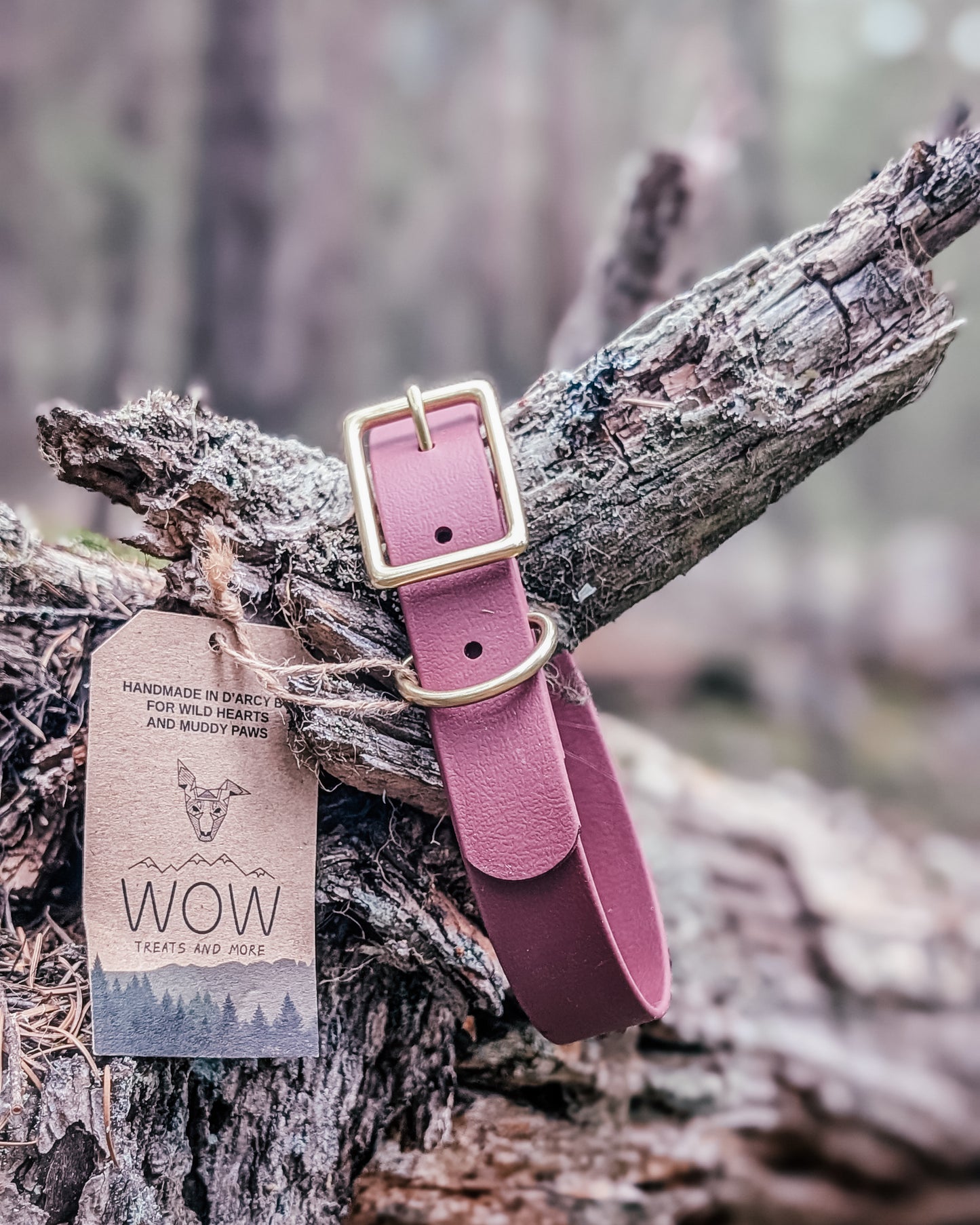 The Trail Collar - Custom Solid Biothane® Dog Collar