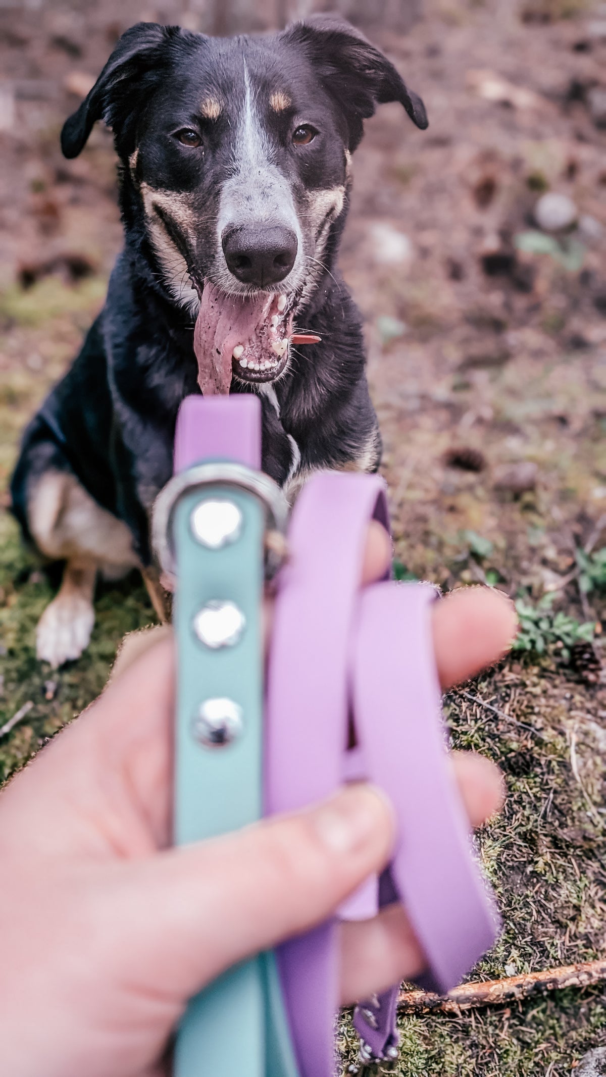 The Summit Leash - Custom Two-Tone Biothane® Dog Leash