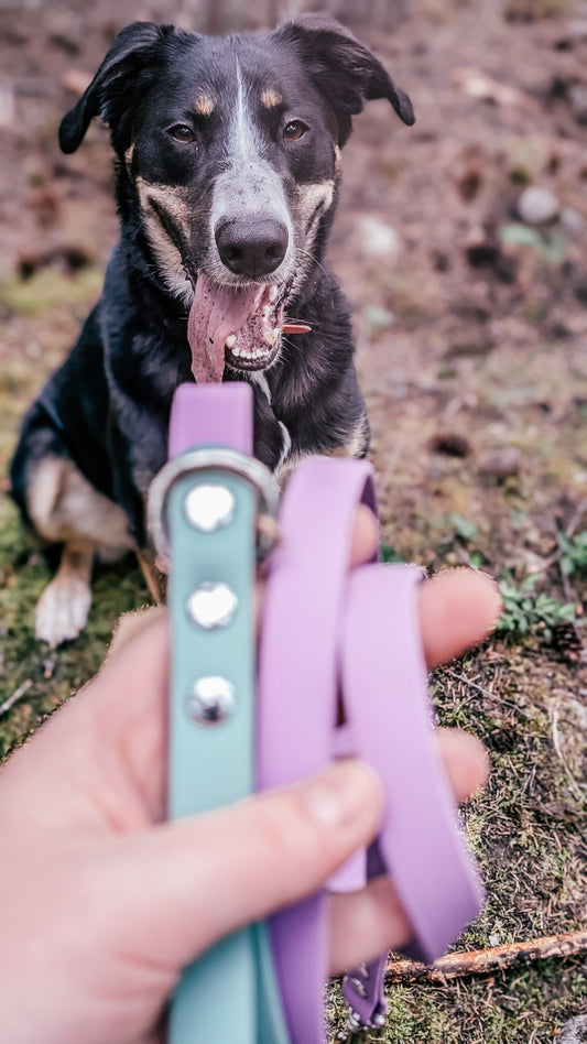 The Summit Leash - Custom Two-Tone Biothane® Dog Leash