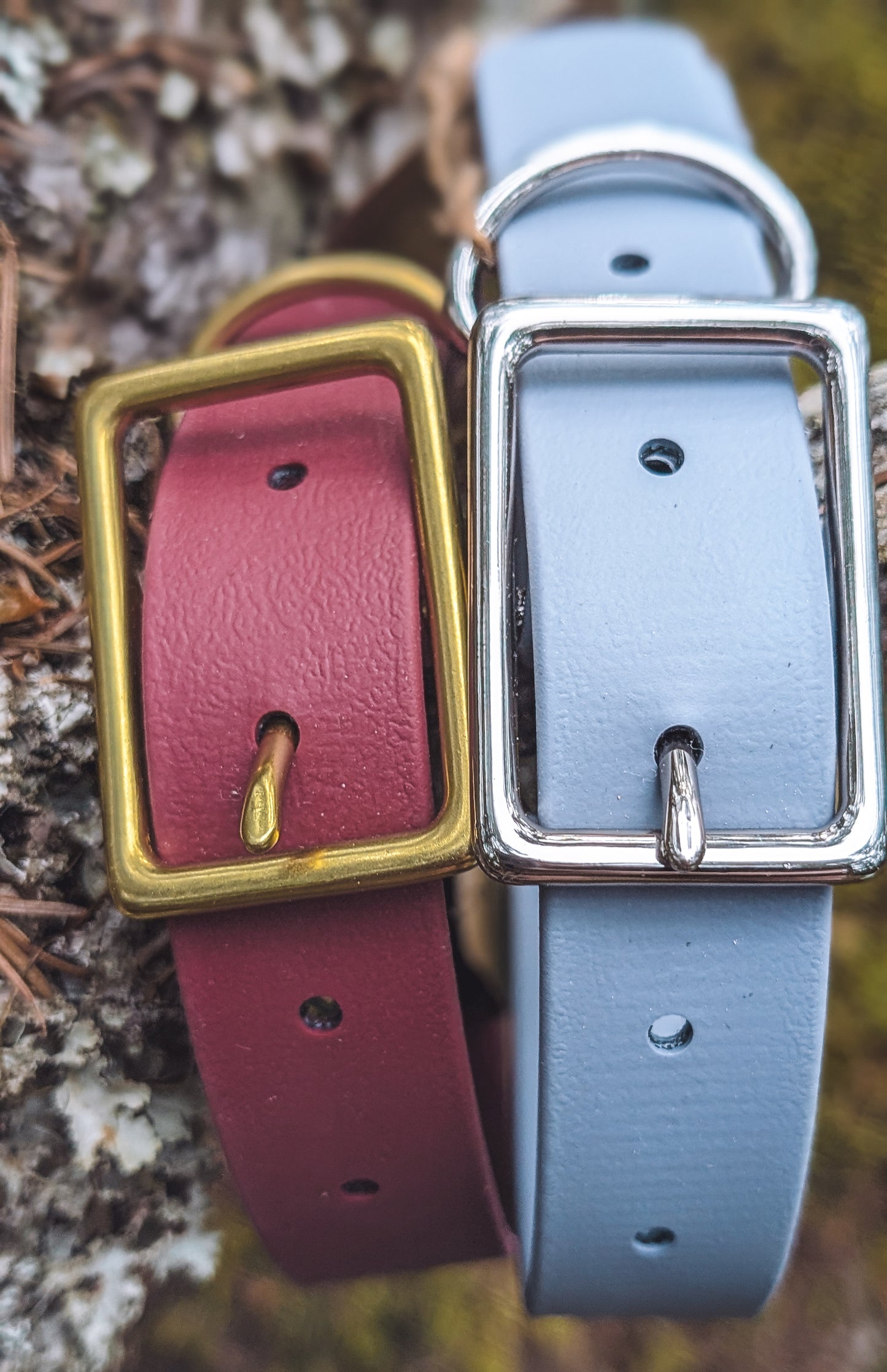 The Trail Collar - Custom Solid Biothane® Dog Collar