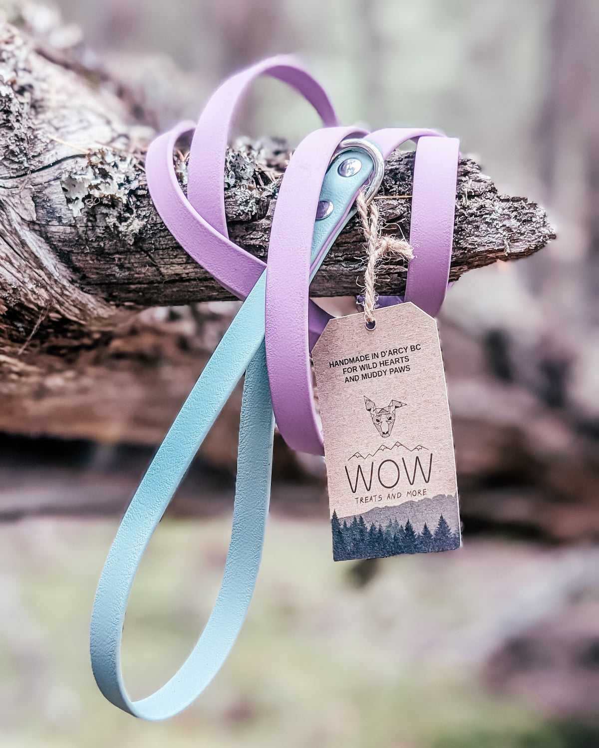 The Summit Leash - Custom Two-Tone Biothane® Dog Leash