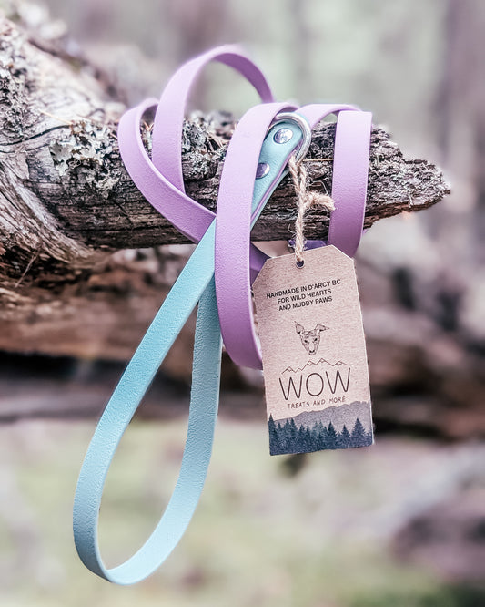 The Summit Leash - Custom Two-Tone Biothane® Dog Leash