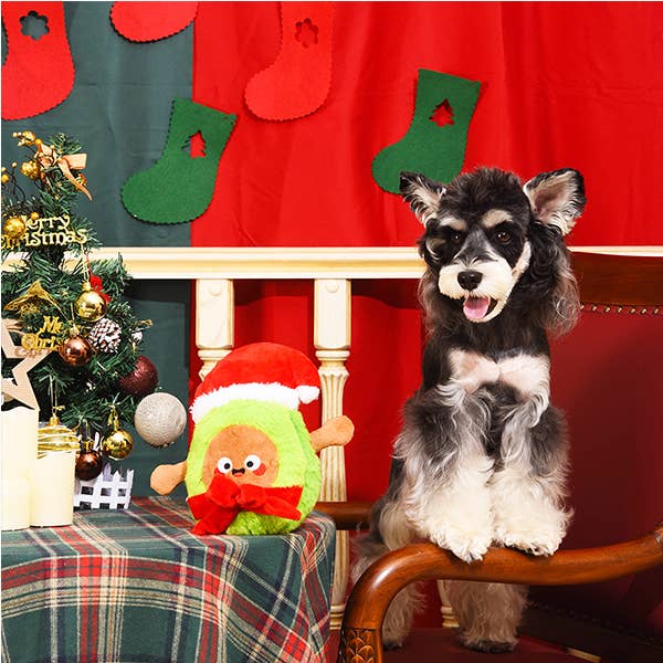 Happy Woofmas ~Santa Avocado~