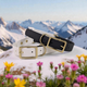The Summit Collar - Custom Two-Tone O-Ring Biothane® Dog Collar