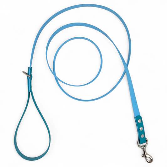 Two-Tone Leash – Bluebird & Glacier