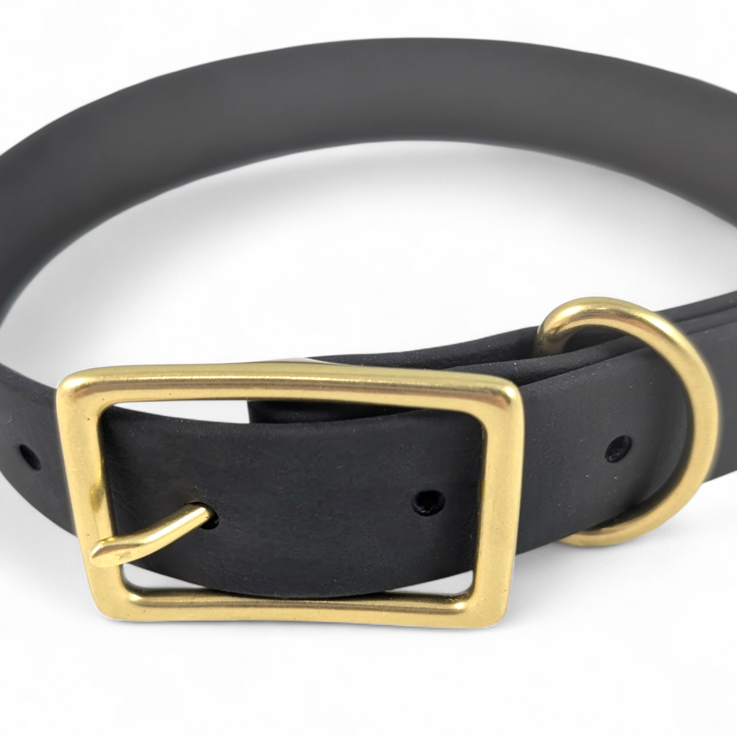 Classic Collar – Raven (Brass)