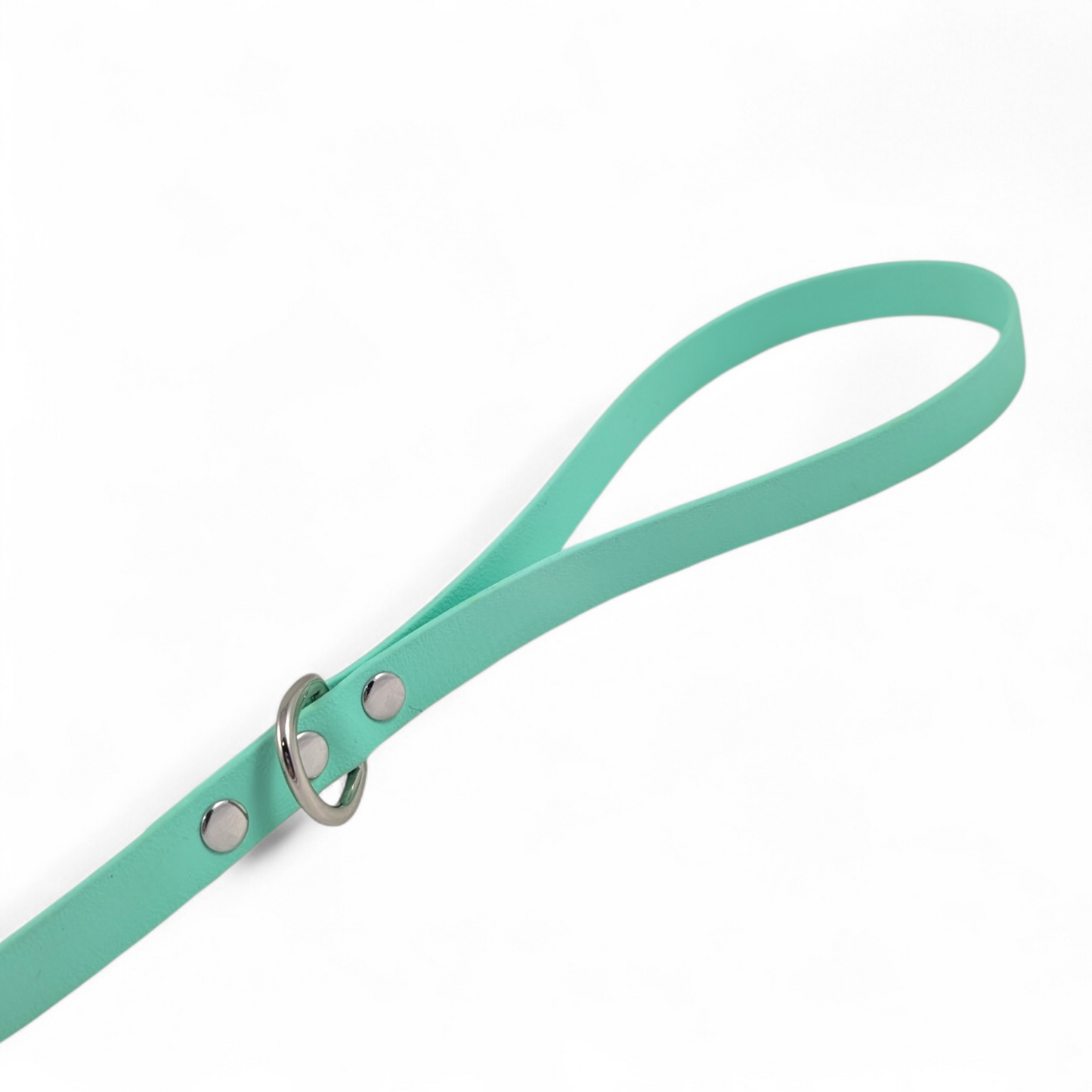 Solid Colour Leash – Sea Foam
