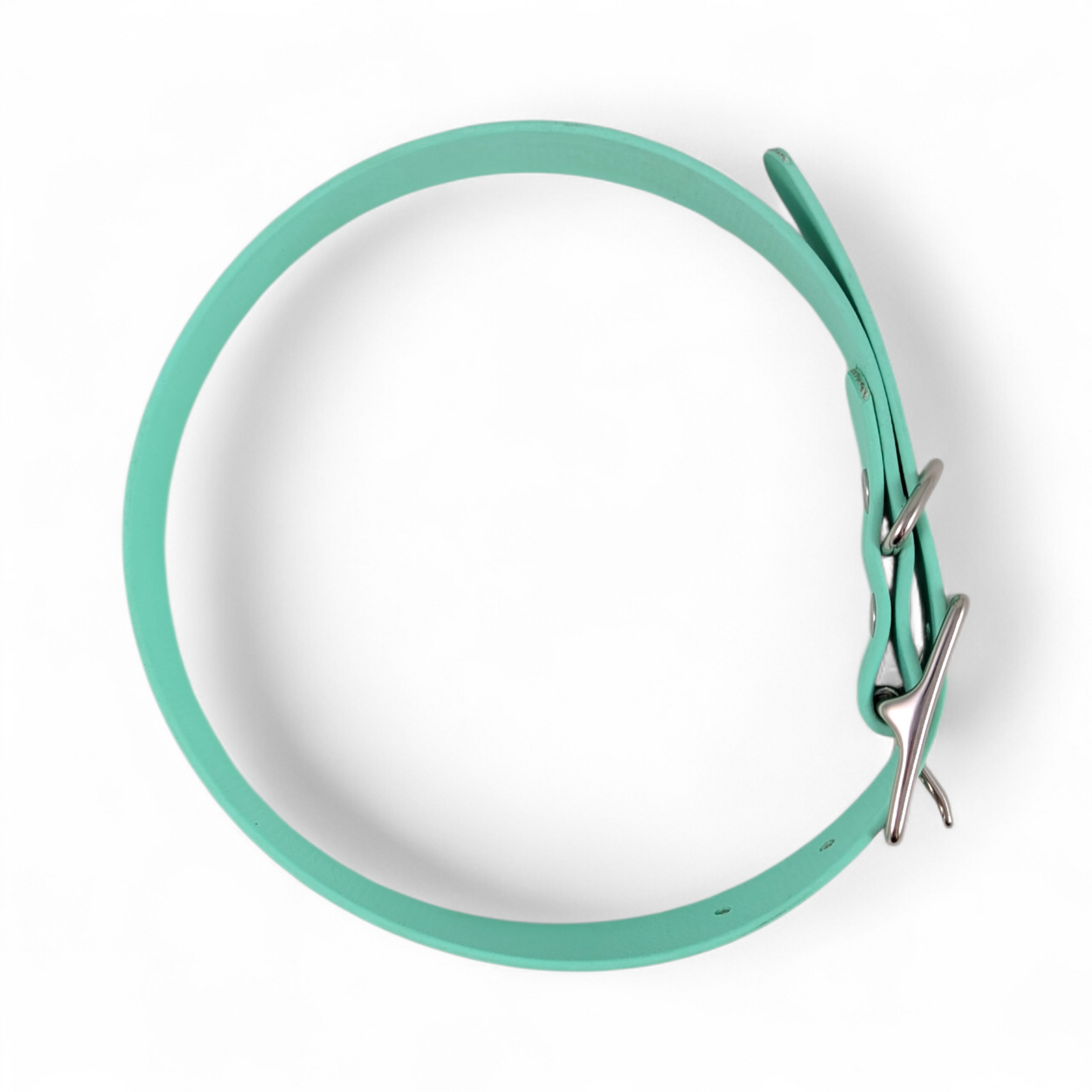 Classic Collar – Sea Foam