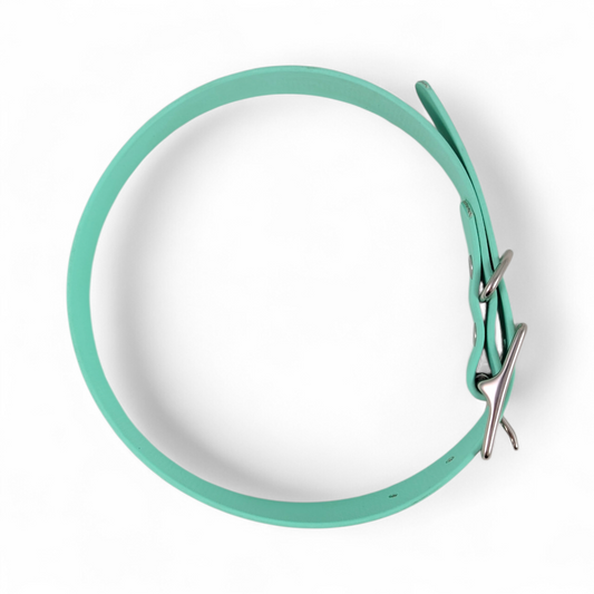 Classic Collar – Sea Foam