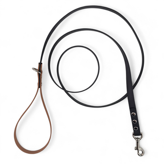 Accent Handle Leash – Raven & Cedar