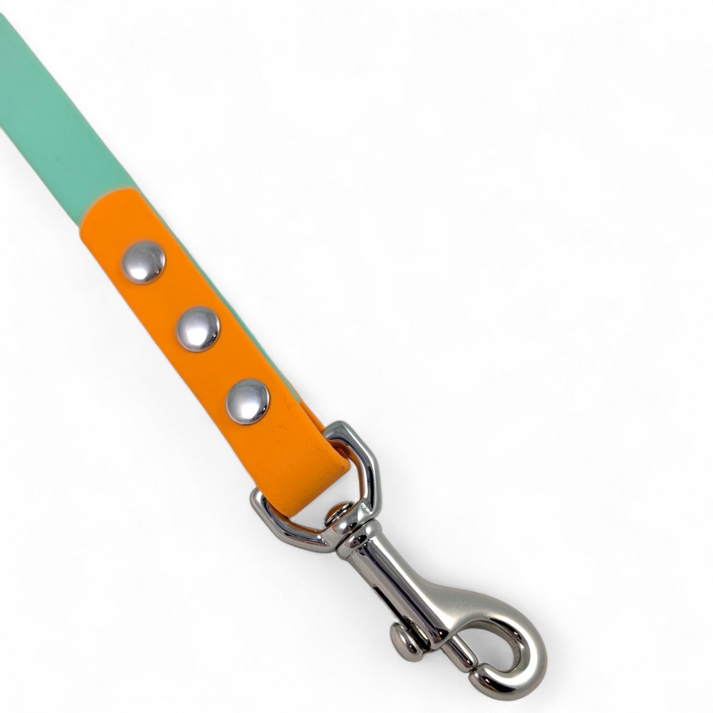 The Summit Leash - Custom Two-Tone Biothane® Dog Leash