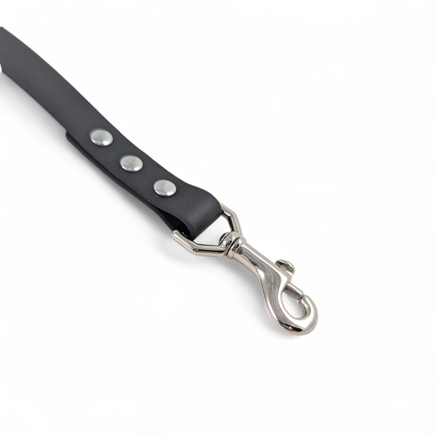 Accent Handle Leash – Raven & Cedar