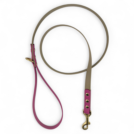 The Summit Leash - Custom Two-Tone Biothane® Dog Leash